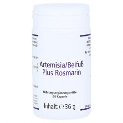 Артемизинин 392 мг капс. 60шт в Элисте и области фото