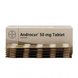 Андрокур (Ципротерон) таблетки 50мг №50 в Элисте и области фото