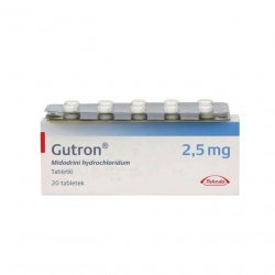 Гутрон таблетки 2,5 мг. №20 в Элисте и области фото