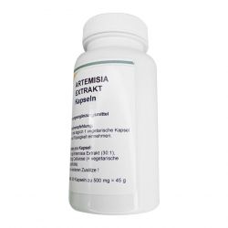 Артемизинин 150 мг капс. 60шт в Элисте и области фото
